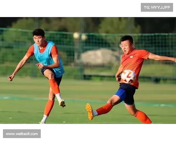 山东泰山队训练方式的有效性探讨与分析