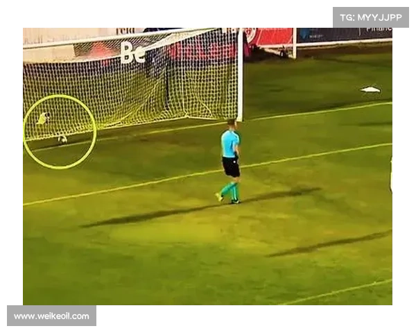 扑点球技巧揭秘：守门员判断方向的五大关键要素分析